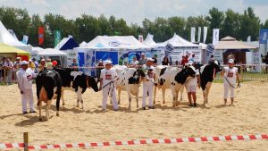 Выставка «День поля-2026» пройдет в Нижегородской области 26&nbsp;июня