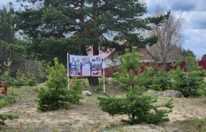 Поклон героям: в Балахнинском округе откроют памятник воинам