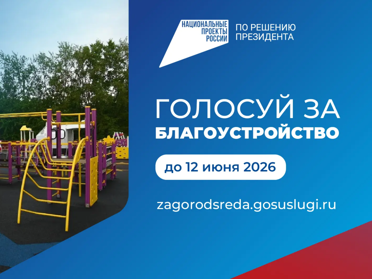 160 тыс. жителей Нижегородской обл. участвовали в голосовании
