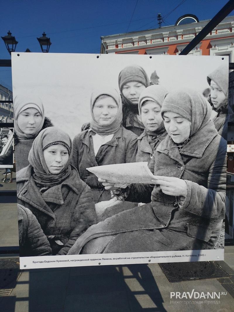Елена Власова