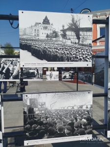 Елена Власова