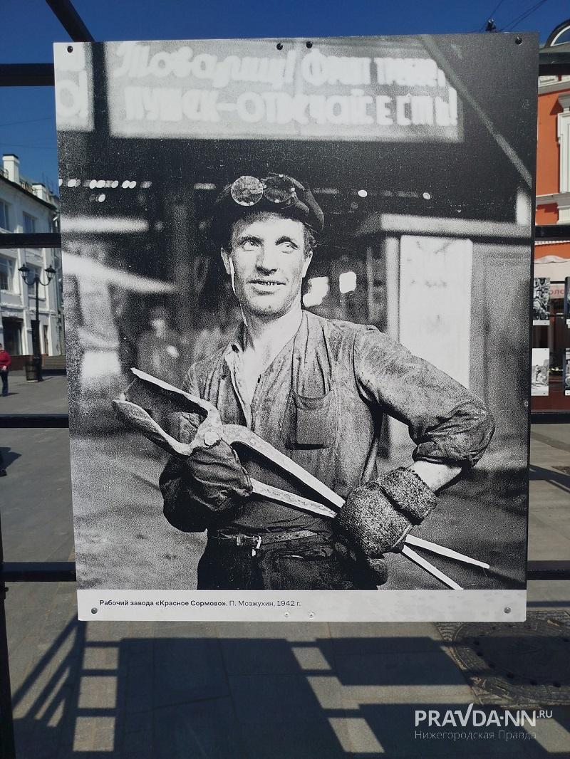Елена Власова