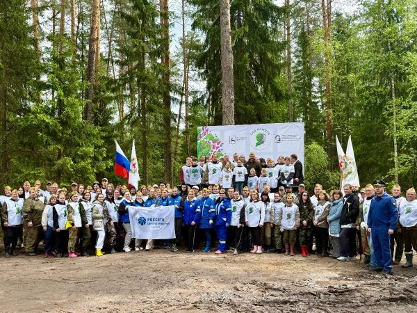 В Арзамасском округе высадили 17 тысяч сосен в акции «Сад Памяти»