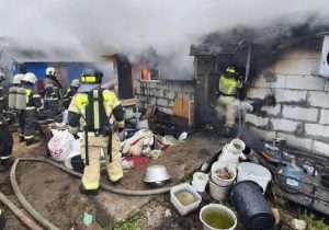 Собак на помойку выбрасывают: что скрывается за вывесками элитных питомников