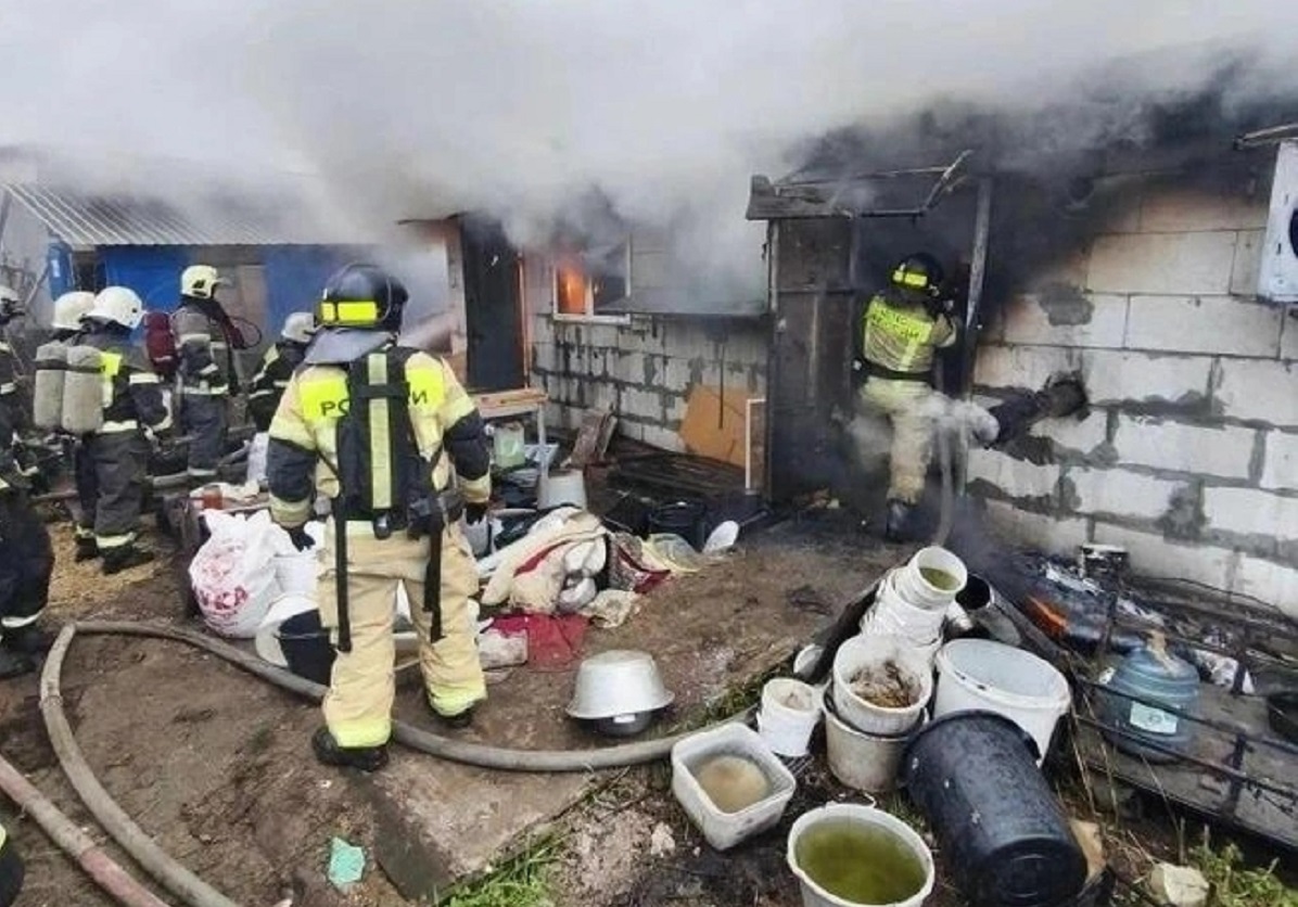 Нижегородцам открыли, что скрывается за вывесками элитных питомников
