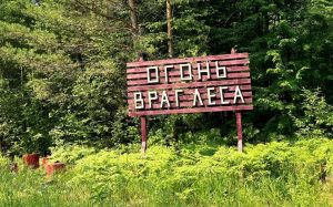 Минлесхоз напомнил о пожарной безопасности в лесу в майские праздники