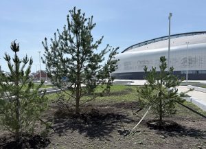 Территорию вокруг VOLGA Арены благоустраивают