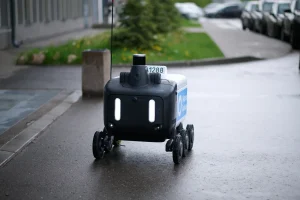 В Нижнем Новгороде запустили рободоставку