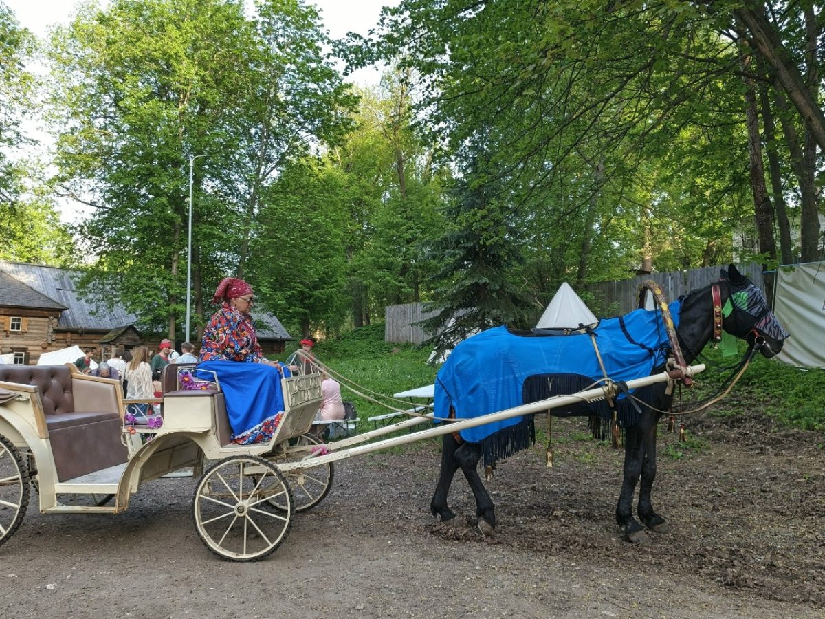 Ольга Севрюгина