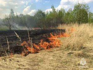 27 пожаров сухой травы произошло в Нижегородской области с начала весны