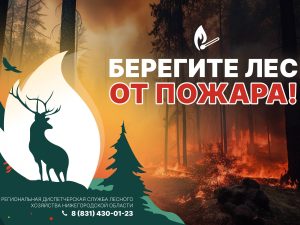 Нижегородский Минлесхоз напомнил о пожарной безопасности в&nbsp;лесах
