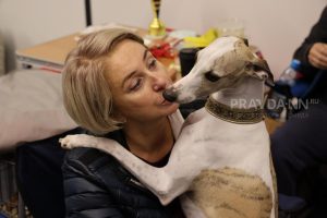 Кинолог Голубев объяснил, чувствуют ли собаки хороших и плохих людей