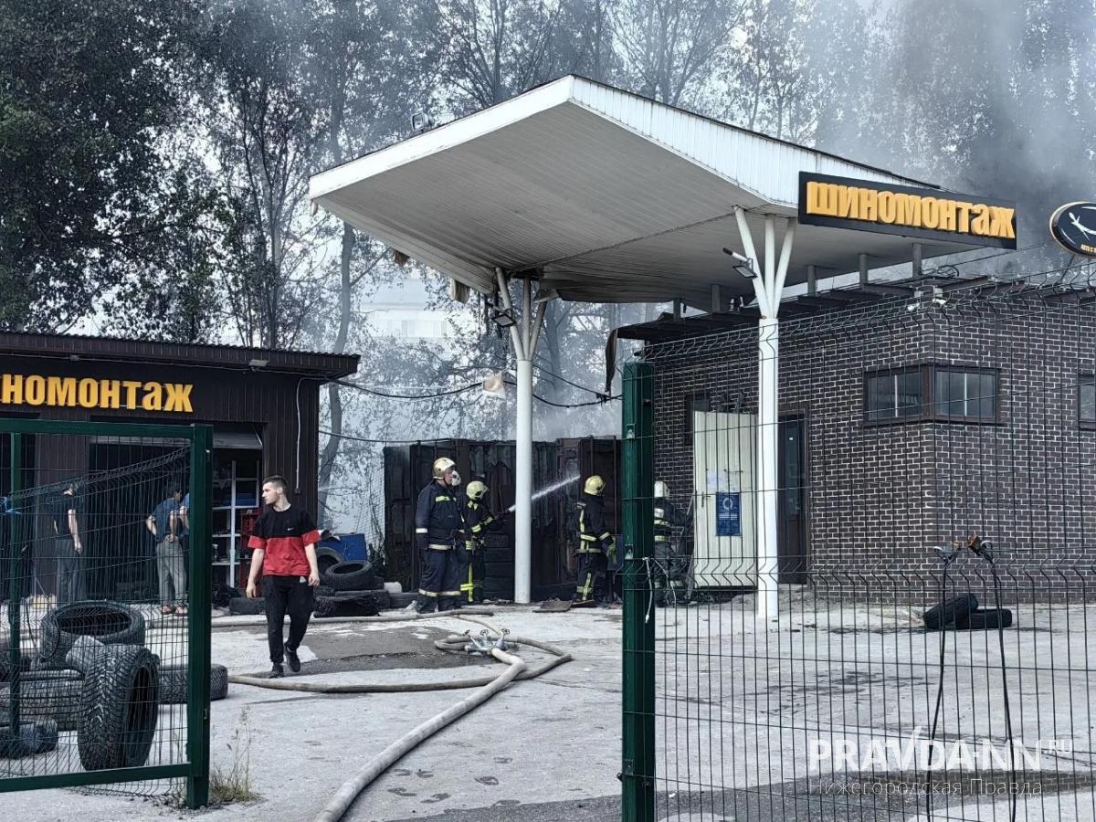 Алина Пасынкова