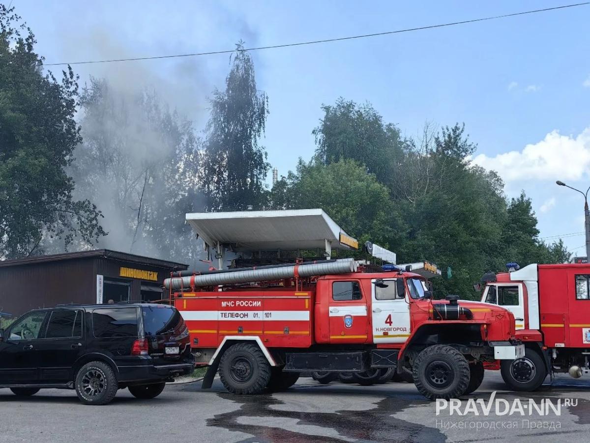 Алина Пасынкова