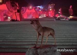 Майя Симакина