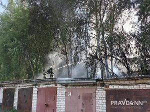Алина Пасынкова