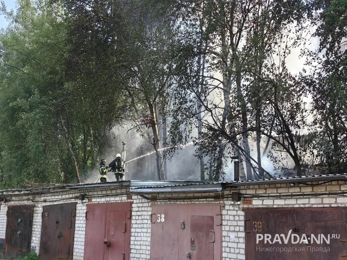 Алина Пасынкова