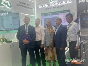 Минис