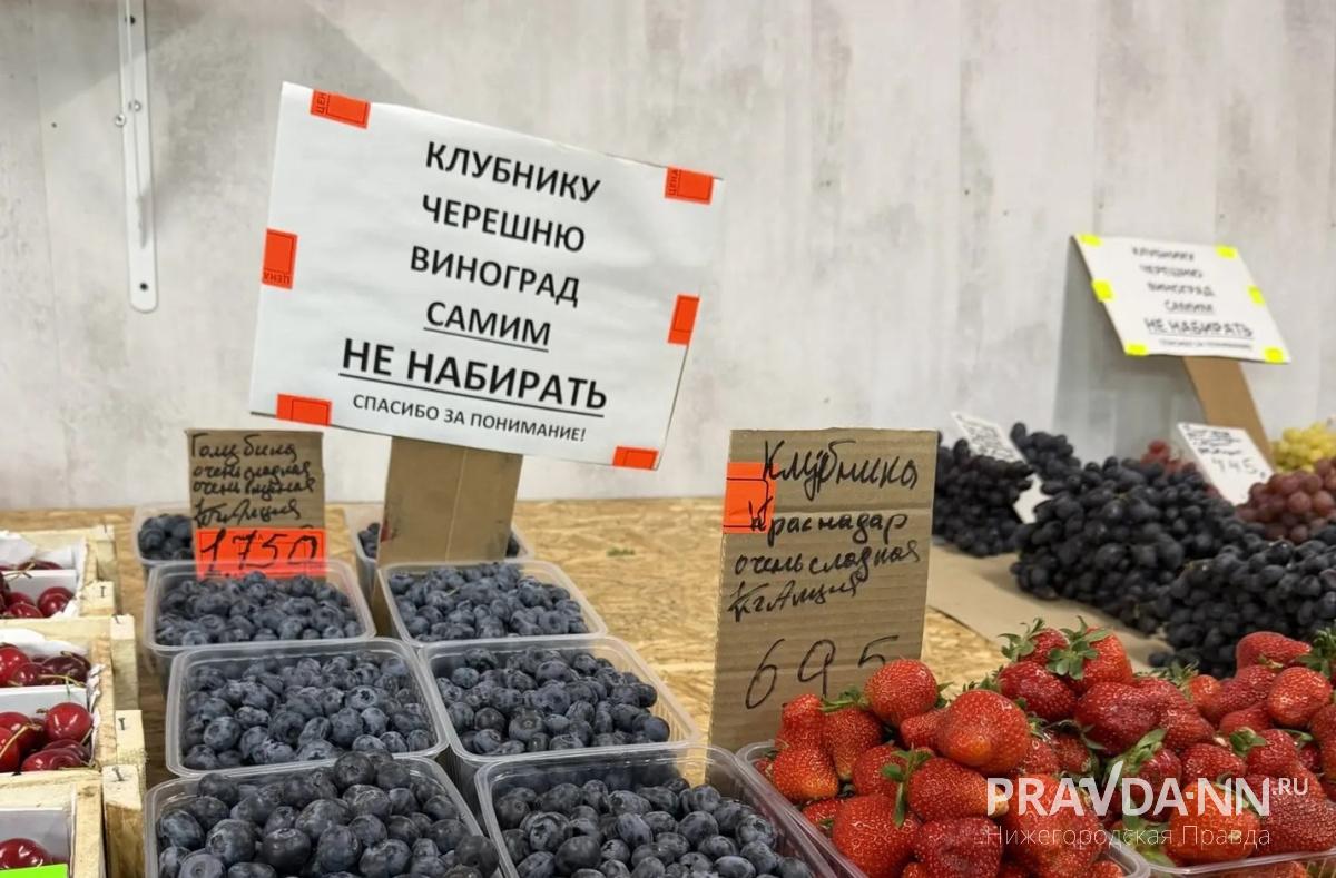 Полина Треушникова