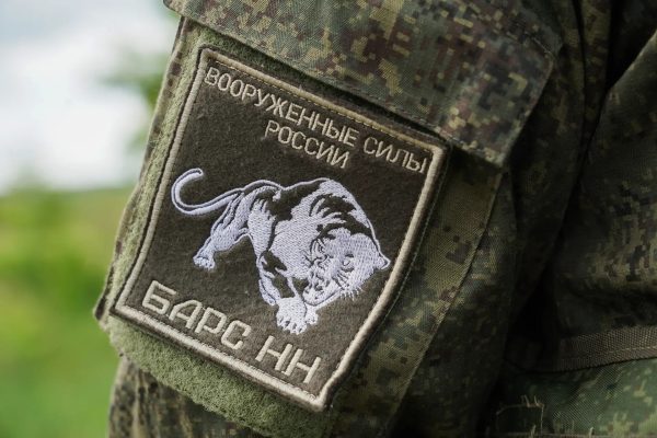 В Нижегородской области установлены выплаты резервистам «БАРС-НН»