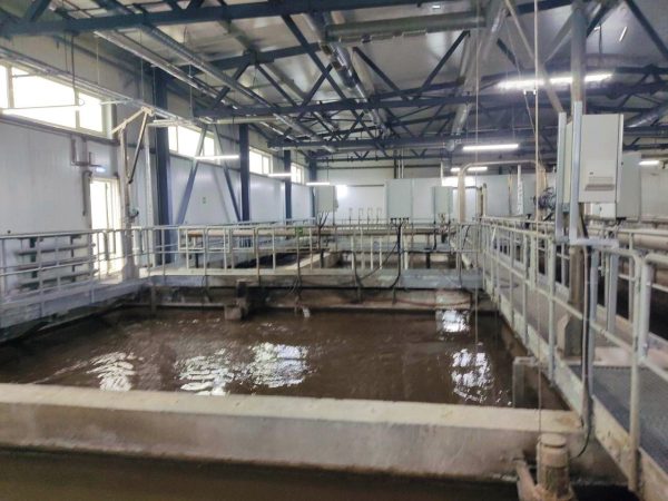 Предприятие в Ардатове оштрафовали на 3,1 млн рублей за загрязнение реки Леметь