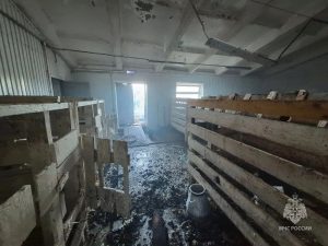 МЧС Нижегородской области/MAX