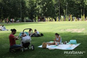 Врачи назвали топ‑5 самых опасных для здоровья насекомых