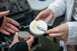Ученые ННГУ разработали раневые покрытия из рыбного коллагена