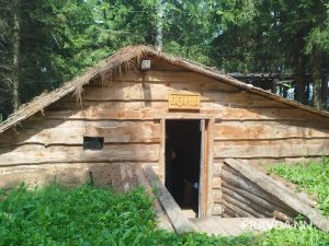 Михаил Быков