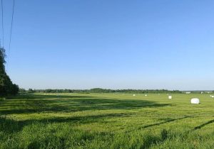 Нижегородские аграрии приступили к заготовке кормов.