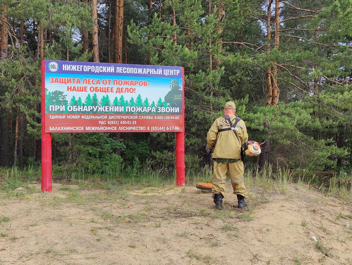 В лесах Нижегородской области оборудовали более 3 тысяч мест отдыха