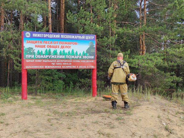 В лесах Нижегородской области оборудовали более 3 тысяч мест отдыха