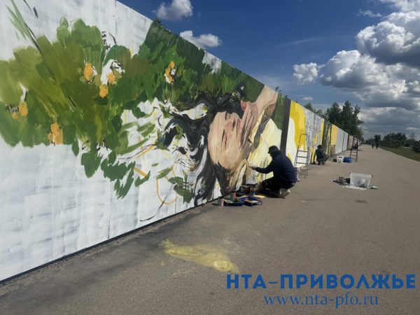 Строительный забор на Гребном канале превратится в галерею стрит-арта