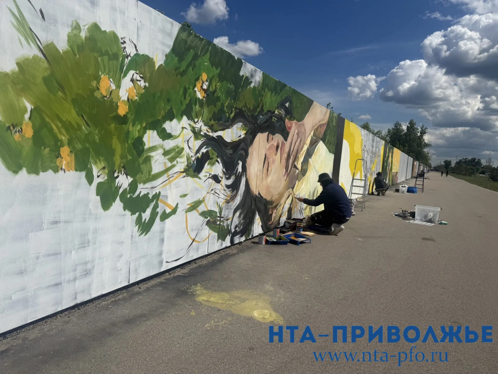 Строительный забор на Гребном канале превратится в галерею стрит-арта