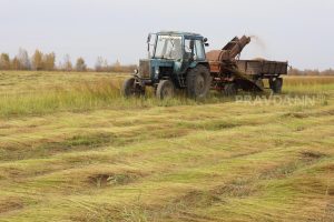 ФАС поручила усилить контроль за реализацией топлива для аграриев в&nbsp;ПФО