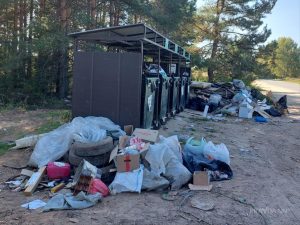 Не вывозят мусор? Разбираемся, что делать и куда обращаться