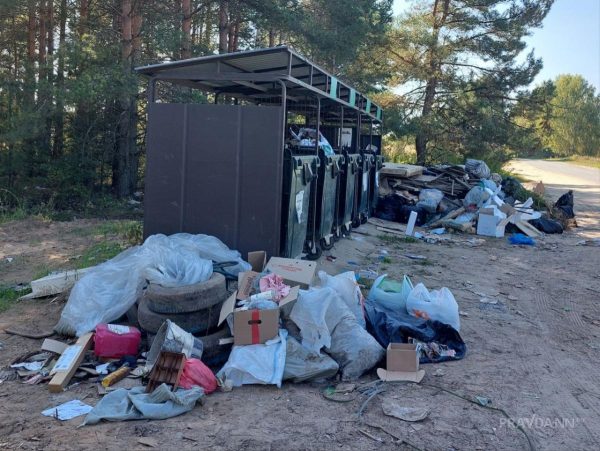 Не вывозят мусор? Разбираемся, что делать и куда обращаться