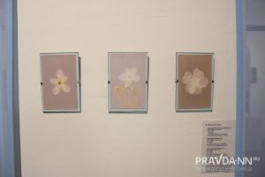 Кира Папилова