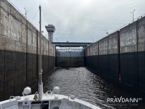 Анастасия Красушкина