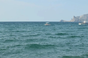 Врач Гнездова предостерегла от промывания заложенного носа морской водой