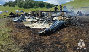 Трое детей погибли на пожаре в частном доме в Башкирии
