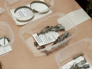 Анастасия Красушкина