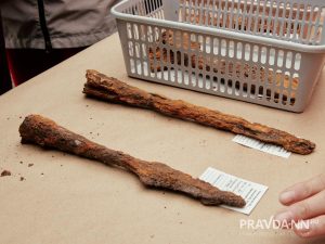 Анастасия Красушкина