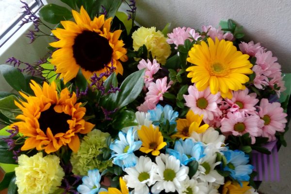 Иммунолог Зиновьева рассказала, какие цветы нельзя дарить аллергикам