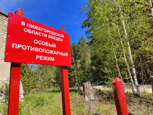 Минлесхоз напомнил о пожарной безопасности в лесах перед выходными