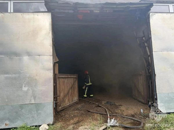 1,5 тысячи квадратных метров составила площадь пожара в нижегородской конюшне
