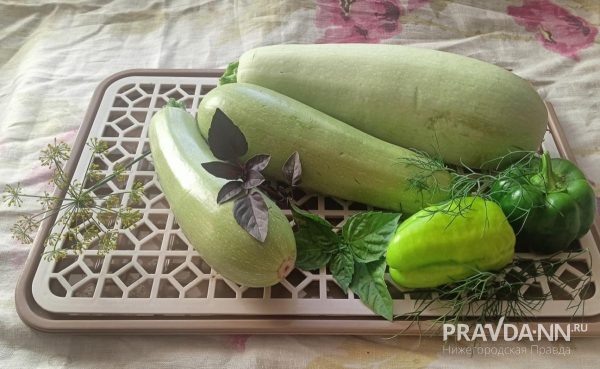 Сколько блюд можно приготовить из кабачка: рецепты нижегородских хозяек