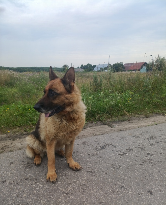 Фото: Пресс-служба ГУФСИН России по Нижегородской области