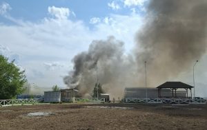 Нижегородский конно-спортивный клуб прокомментировал пожар в своей конюшне