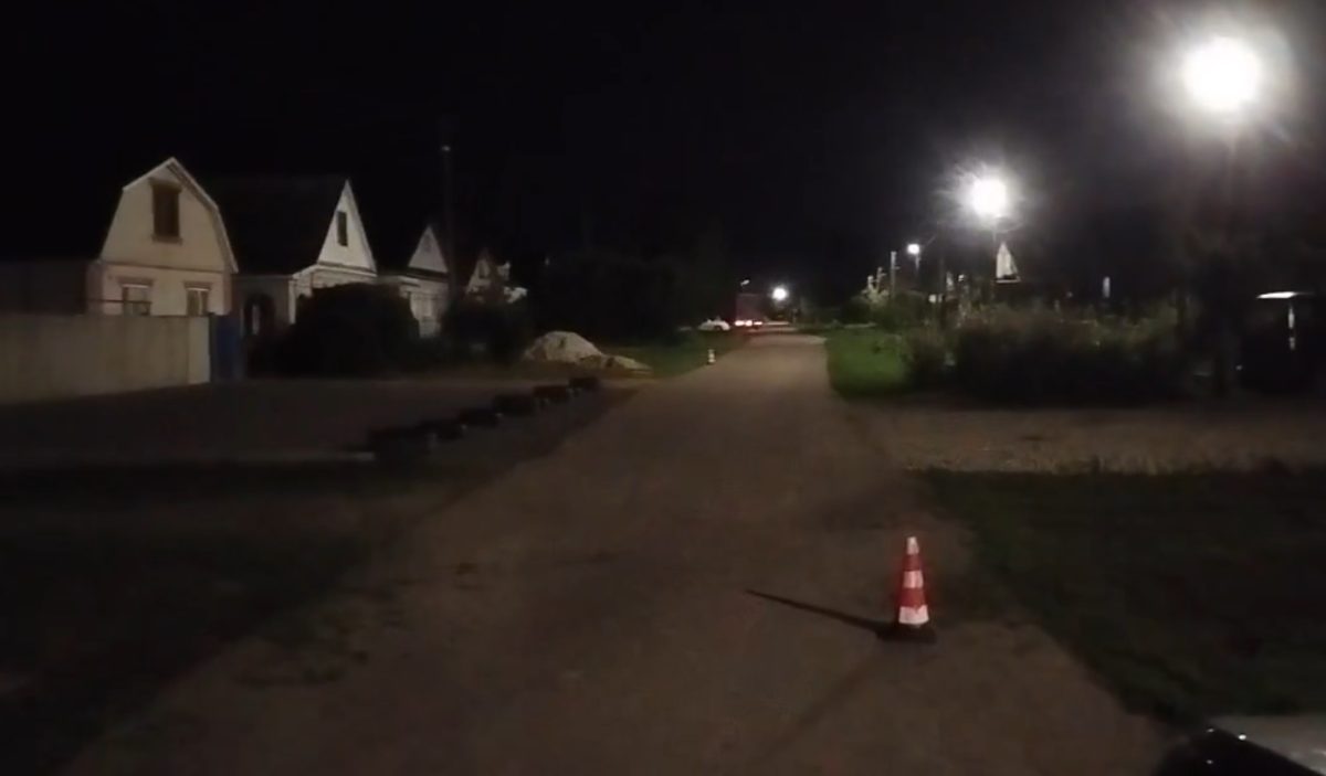 Женщина пострадала в ДТП с собакой в Лукояновском районе
